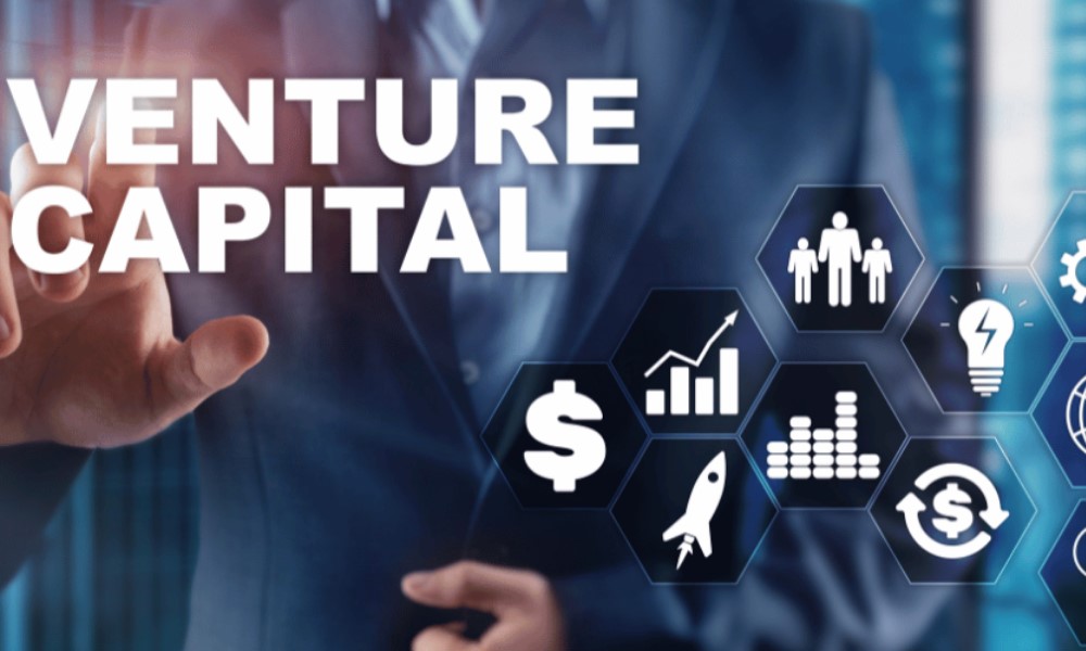 Key-Venture-Capital-Terms